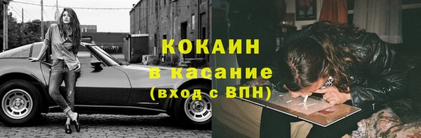 тгк Абаза