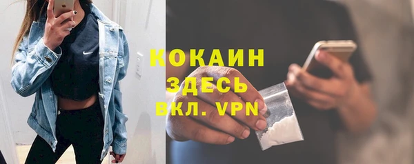 тгк Абаза