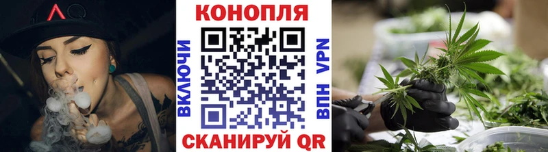 где найти наркотики  мега зеркало  Конопля сатива  Заволжье 